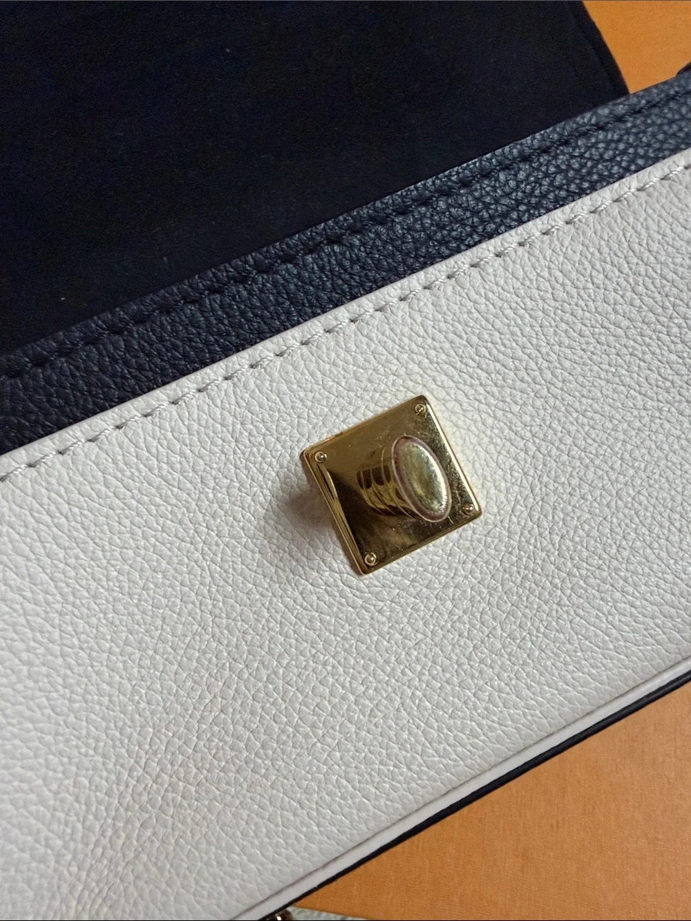 Louis Vuitton classic louis